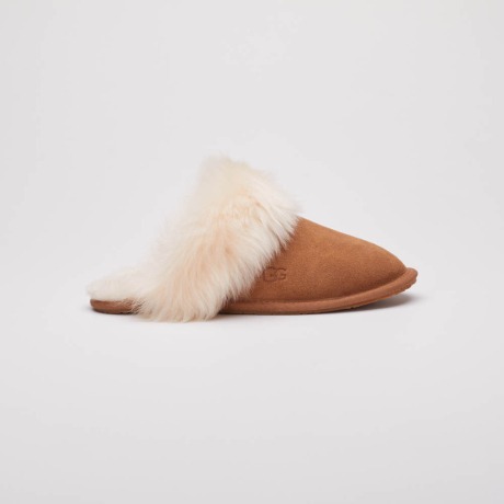 Mule Scuff Sis Ugg Mule Scuff Sis Ugg